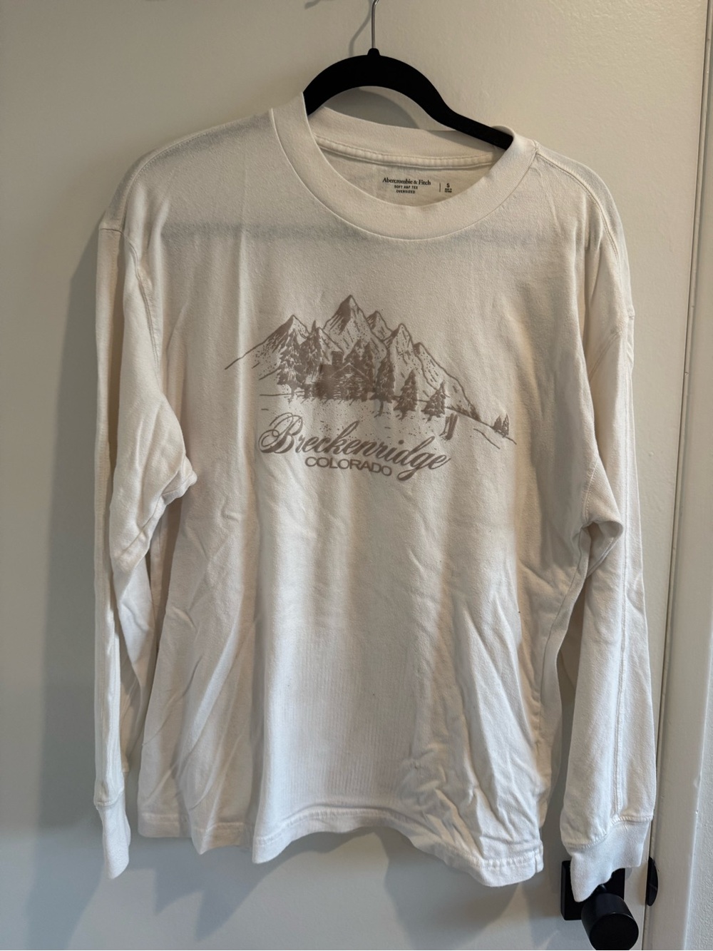 Abercrombie & Fitch White Long-Sleeve Crewneck with Tan Mountain Graphic